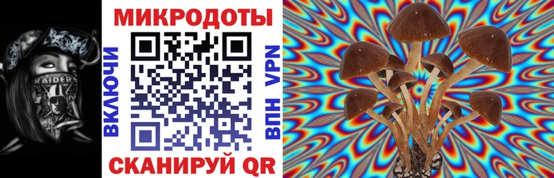 купить наркотик  Энем  Псилоцибиновые грибы ЛСД 